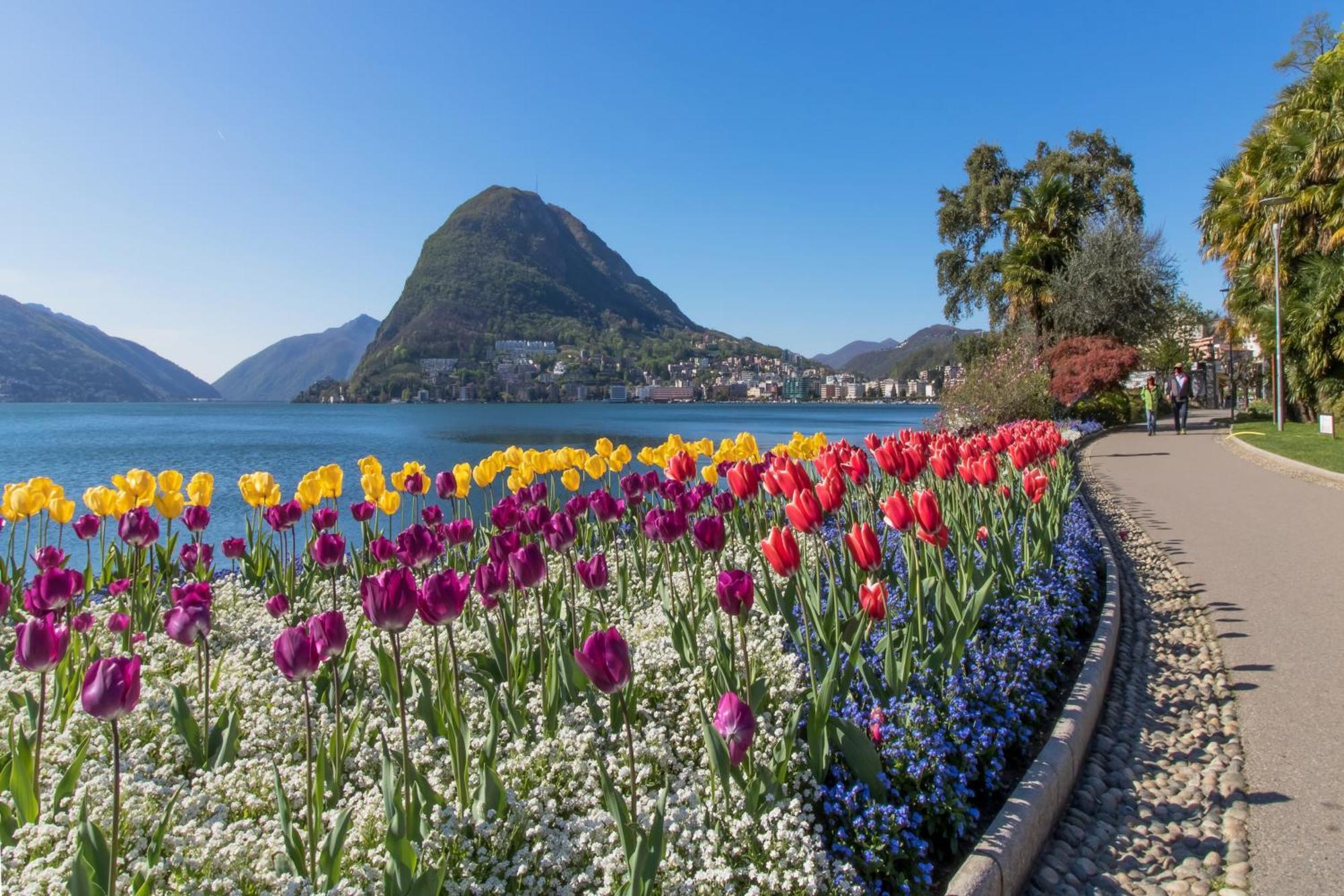 Love Of Lugano - Happy Rentals Экстерьер фото